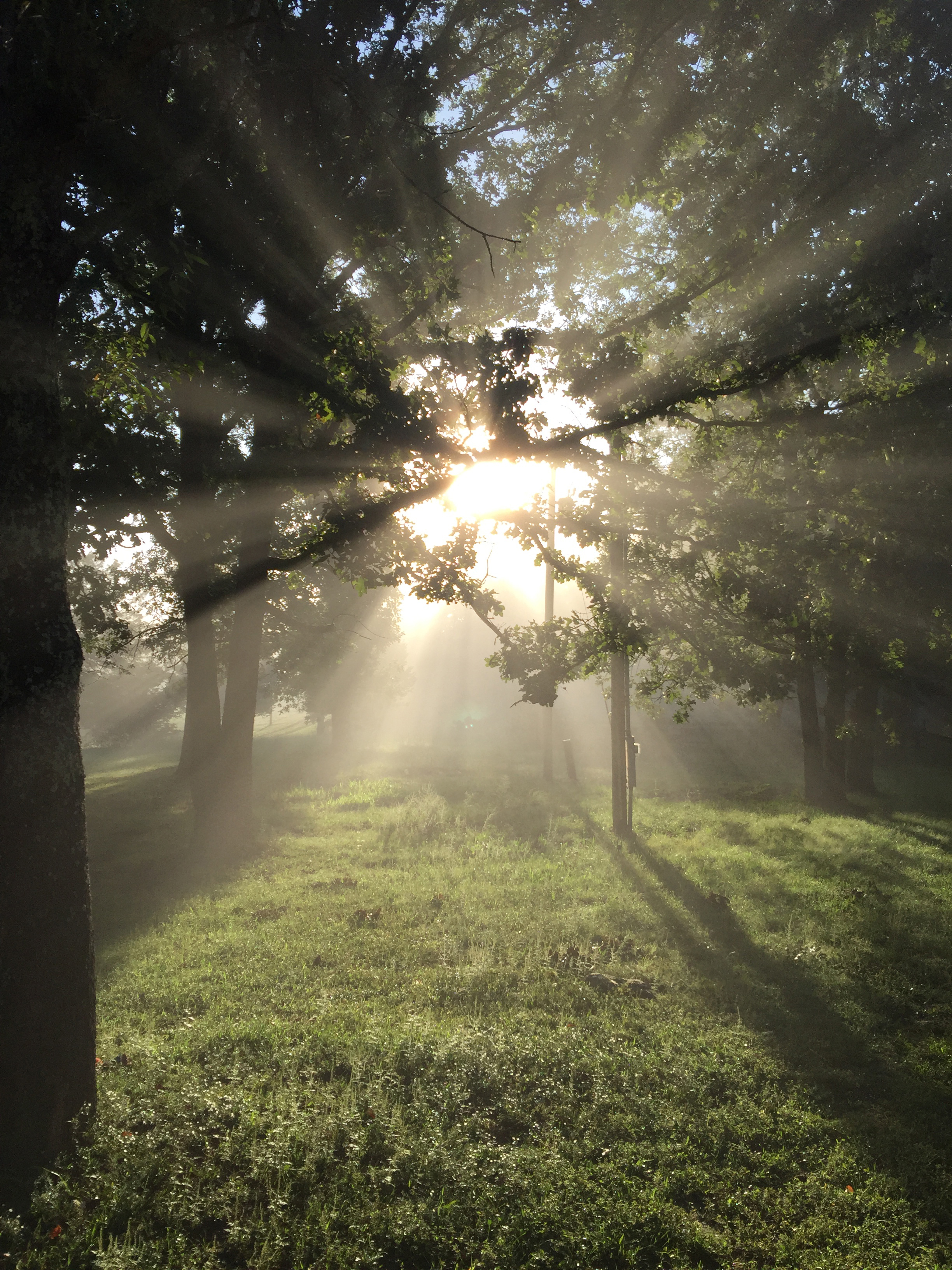 Divine Waters Church and Ministry | Campground & Frontier Village Project